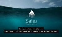 Seho Coaching Innovations